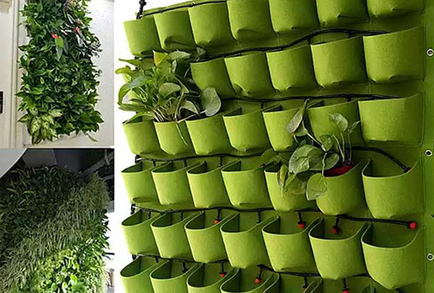 種植袋式植物墻的主要問題