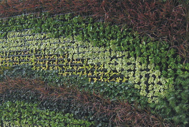 PVC粗放型模塊植物墻的主要問題