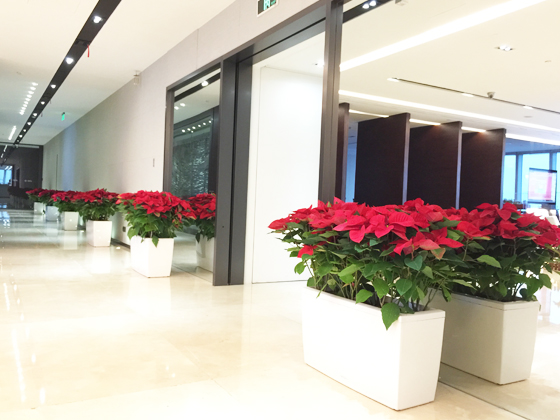 保利協(xié)鑫上海公司辦公室圣誕節(jié)布置