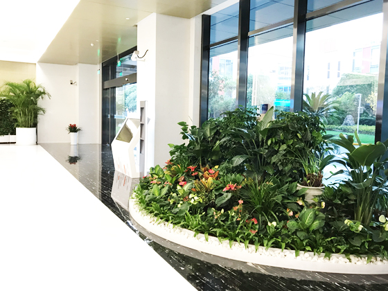 上海阿里創(chuàng)新中心整體綠化租賃