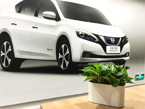 東風(fēng)日產(chǎn)乘用車NISSAN上海環(huán)貿(mào)辦公室高端綠植租賃