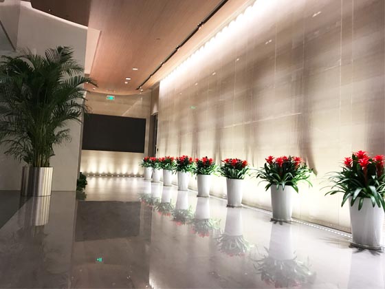 財(cái)信集團(tuán)所轄物業(yè)范圍綠植租擺項(xiàng)目