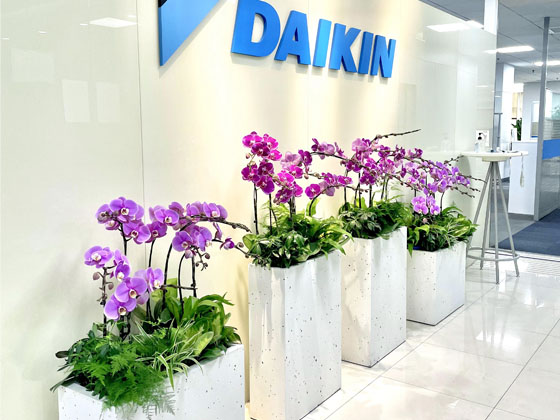 大金（中國）辦公室整體綠植租賃與養(yǎng)護項目