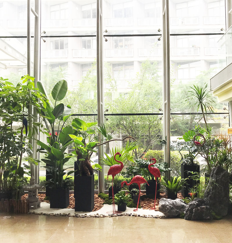 盈科律所 植物造景&綠植租賃