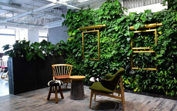 上海綠植租賃公司教您四個提高花卉擺放效果的方法