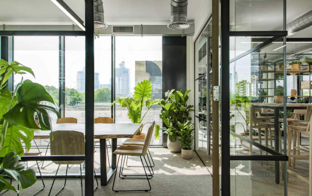 上海綠植租賃公司淺談綠植租賃服務(wù)的三個(gè)特性是什么