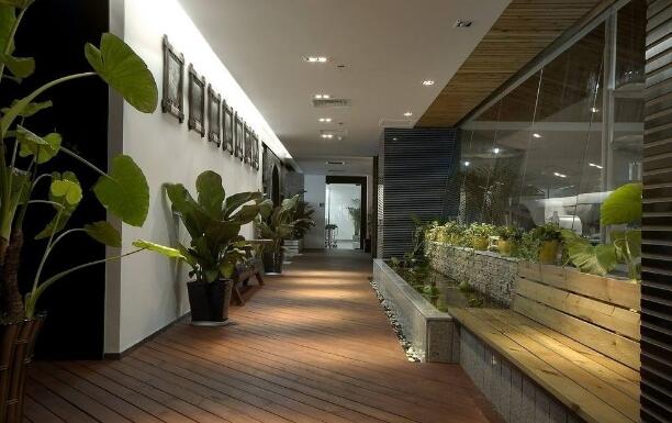 綠植租賃與傳統(tǒng)的花卉銷售的區(qū)別是什么？